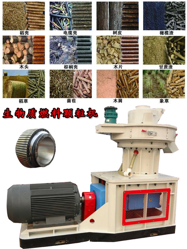 國內外生物質燃料顆粒機應用現(xiàn)狀的疑問！